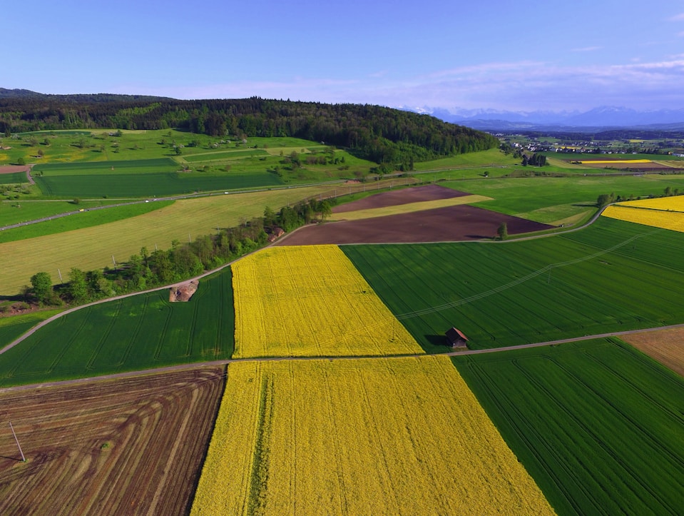 Drone Agriculture